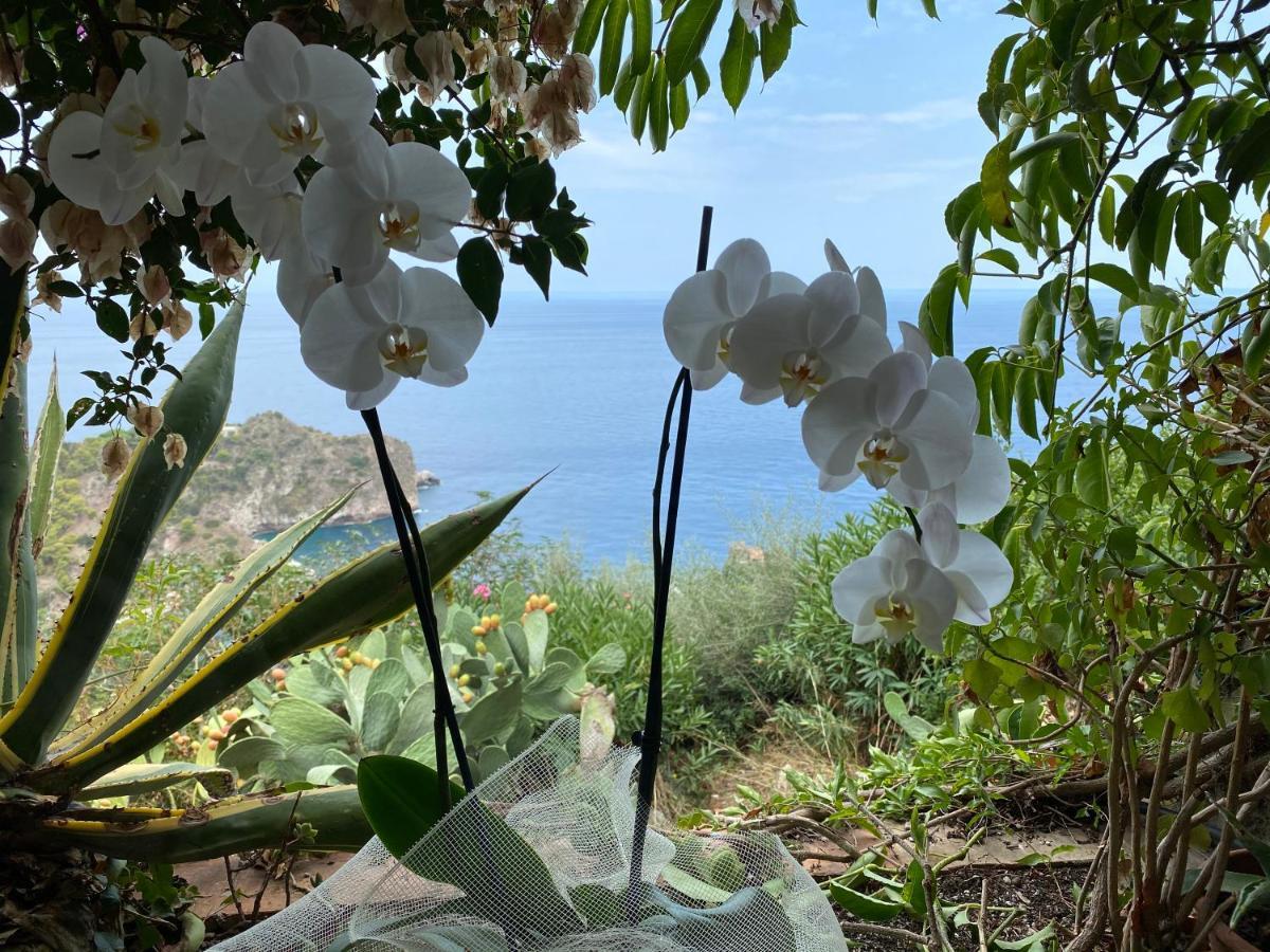 Villa Don Mimi Guarnaschelli La Dependace Taormina Zewnętrze zdjęcie